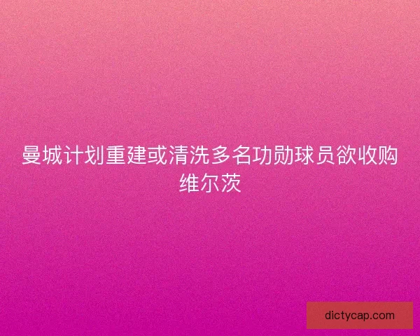 曼城计划重建或清洗多名功勋球员欲收购维尔茨